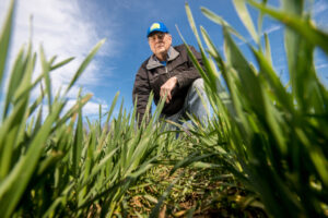 Farmer kneeling amongst his cover crops on his farm